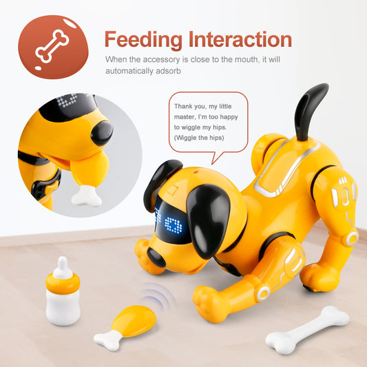 Chien Robot Programmable - Éducation Enfants