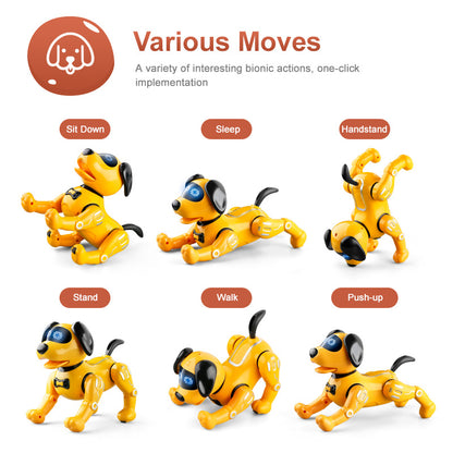 Chien Robot Programmable - Éducation Enfants
