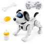 Chien Robot Programmable - Éducation Enfants