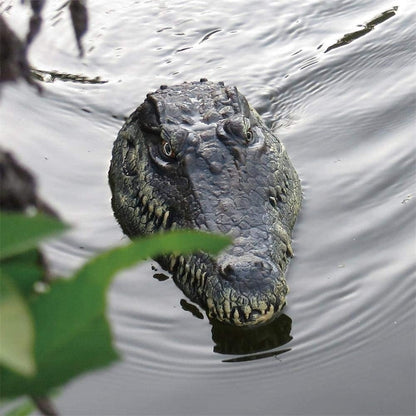 Alligator RC Télécommandé - Robot Simulation